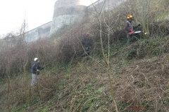 Débroussaillage des glacis