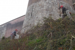 Fauche des glacis