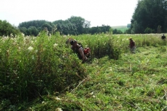 Gestion de sites naturels
