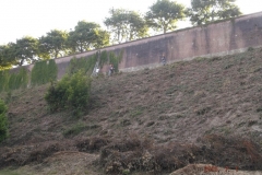 Rempart débroussaillage sélectif glacis