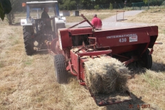 Valorisation en foin